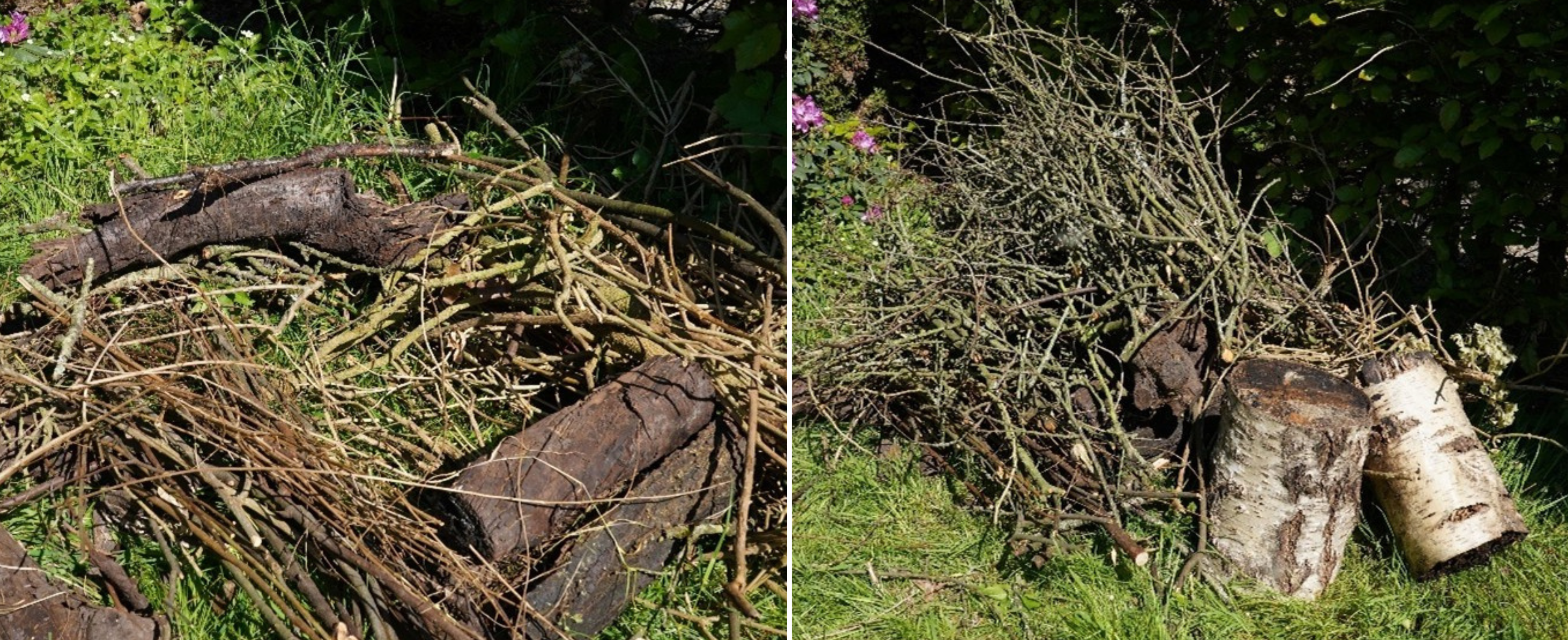 Valoriser-le-bois-mort-au-jardin-adalia-