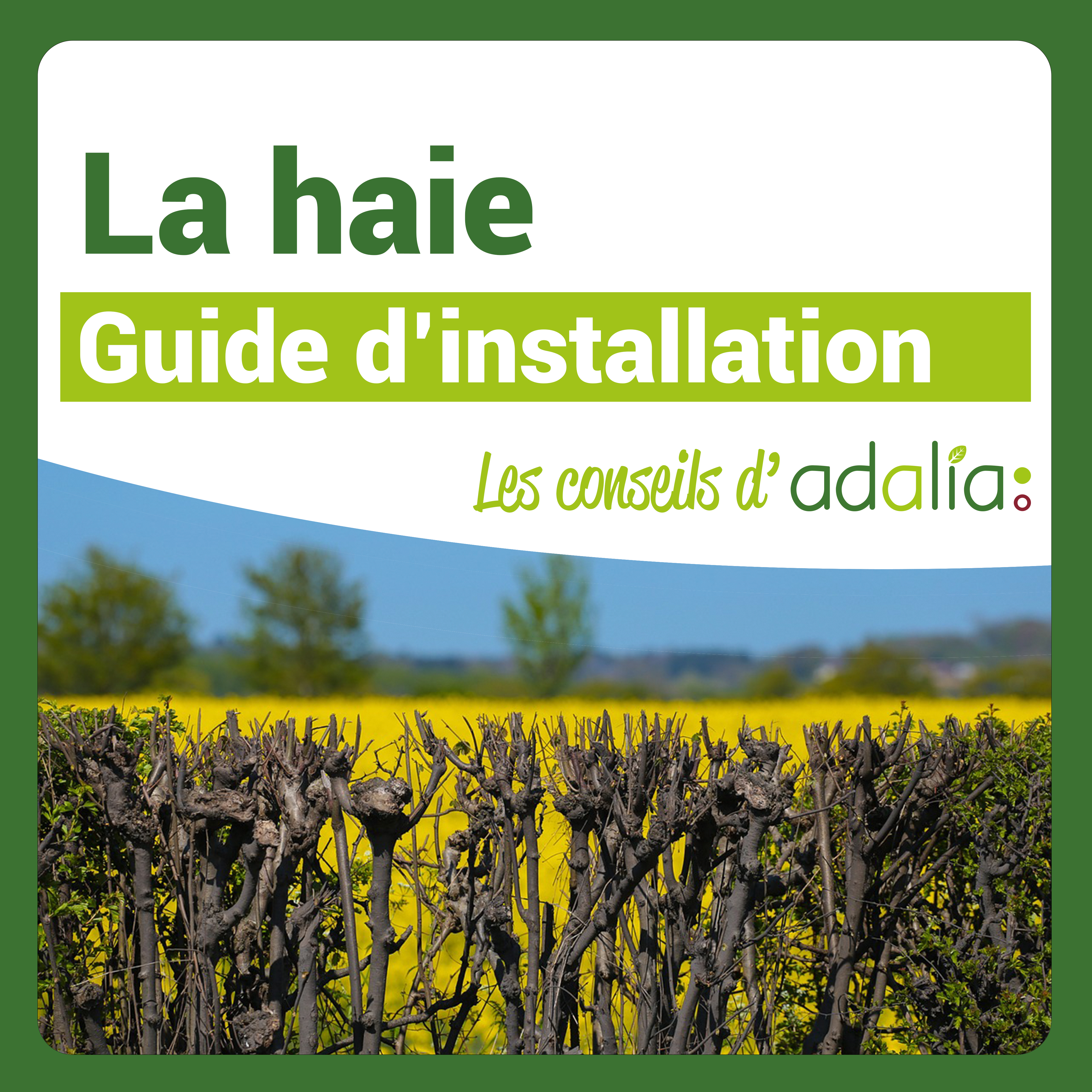 Haie-guide-dinstallation