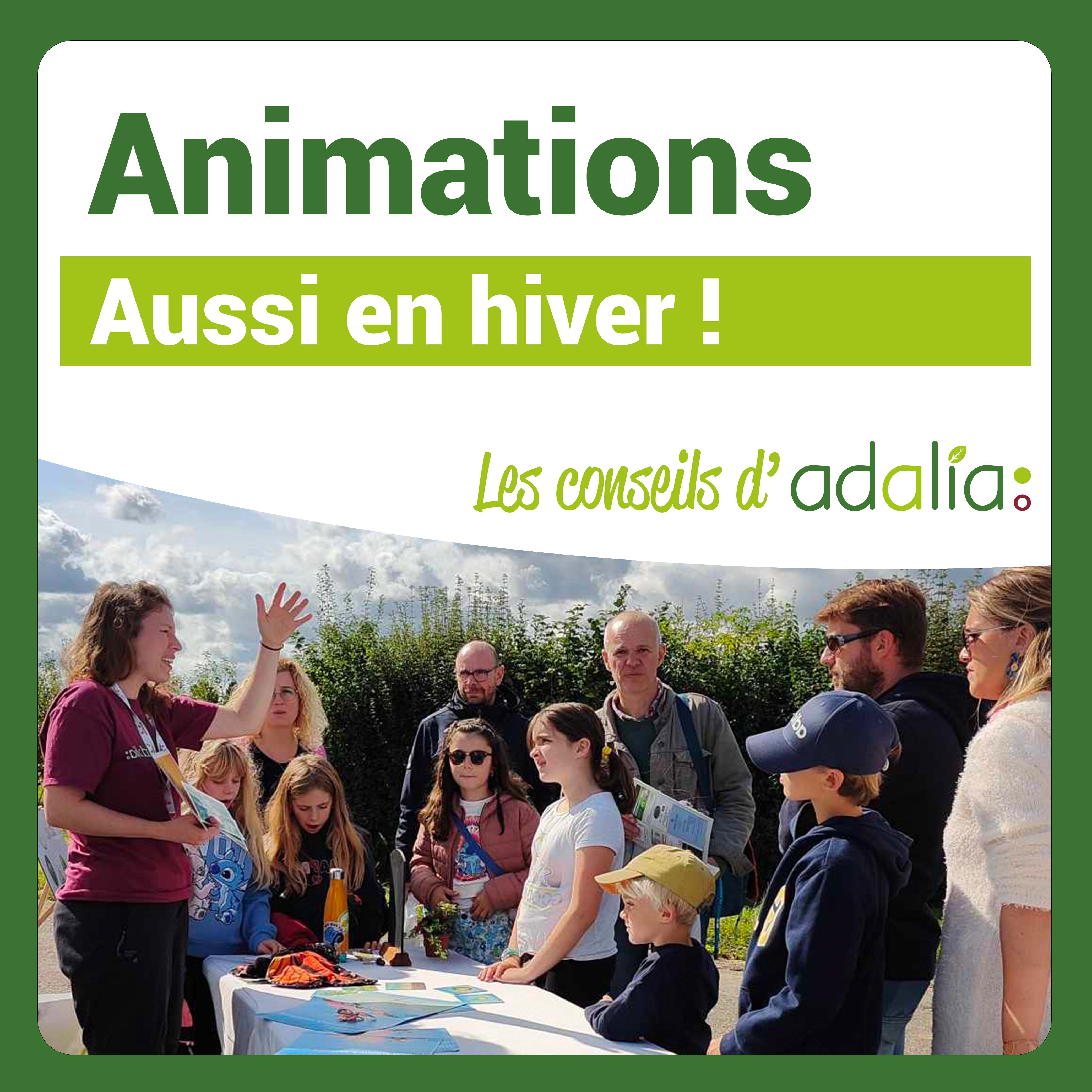 Animations-hiver