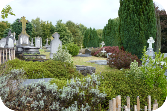 cimetière