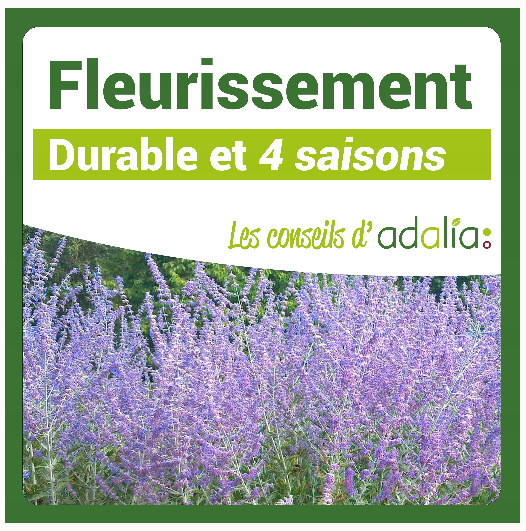 fleurissement-durable-4-saisons