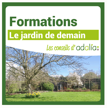 Formations-le-jardin-de-demain