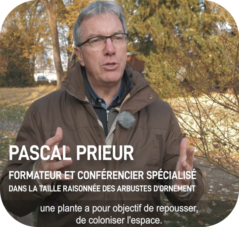 Pascal Prieur