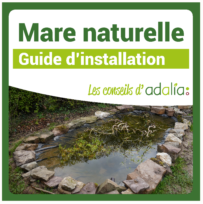 guide-installation-mare-naturelle