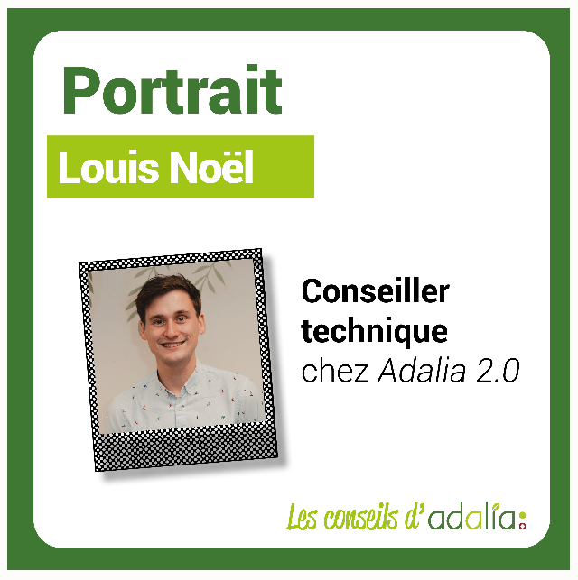 Portrait-Louis