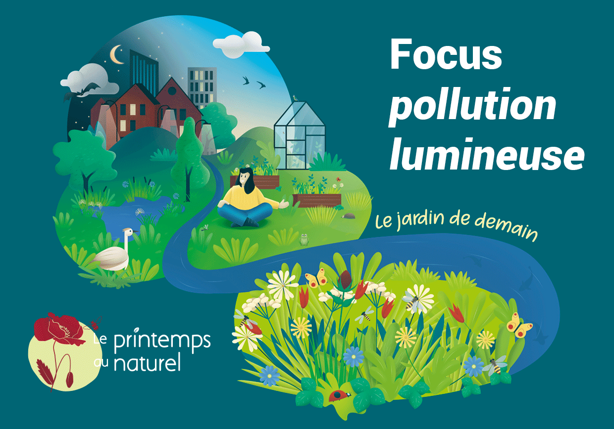 Focus pollution lumineuse