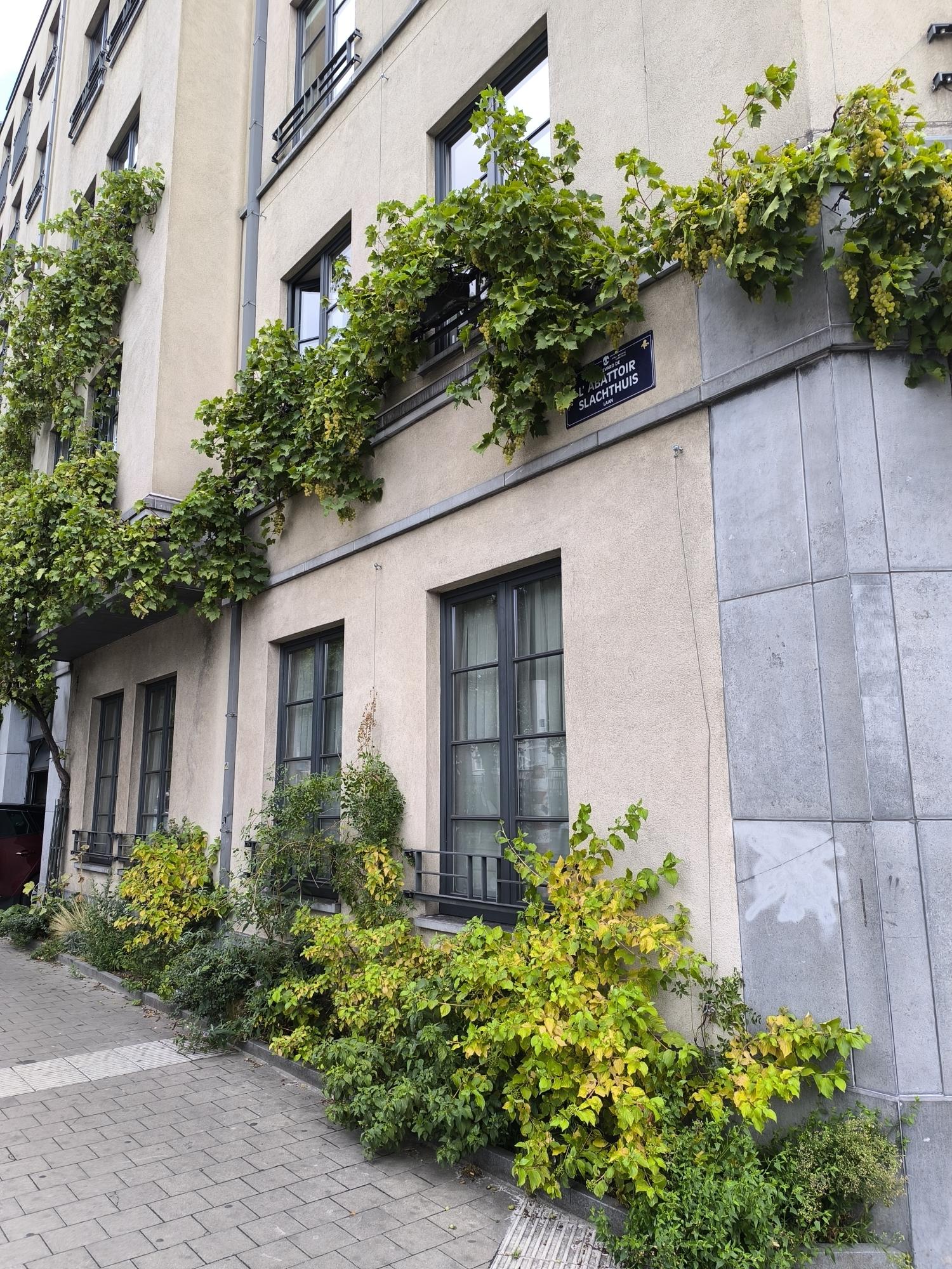 Végétalisation urbaine