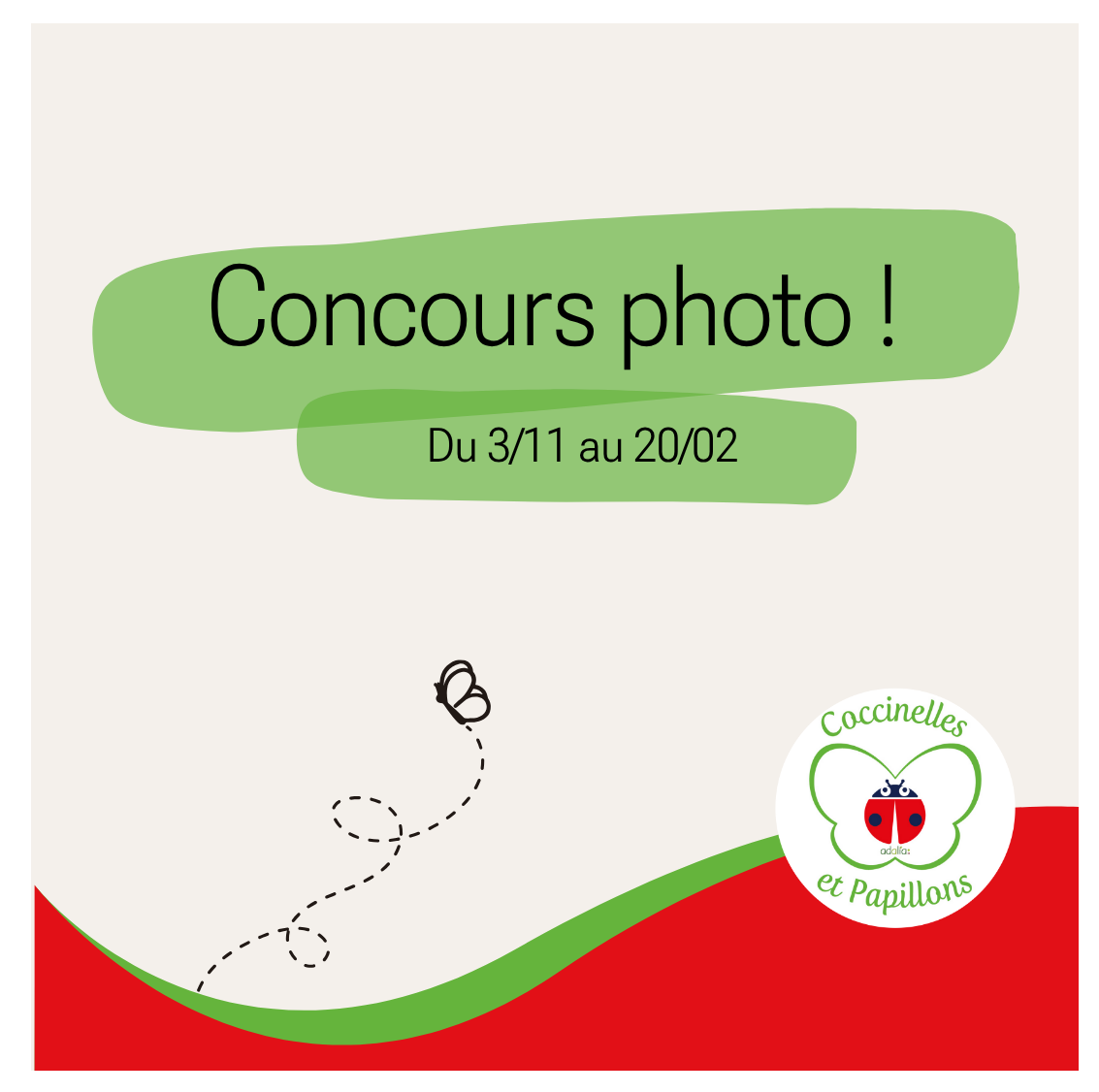 Concours Photo Coccinelles et Papillons