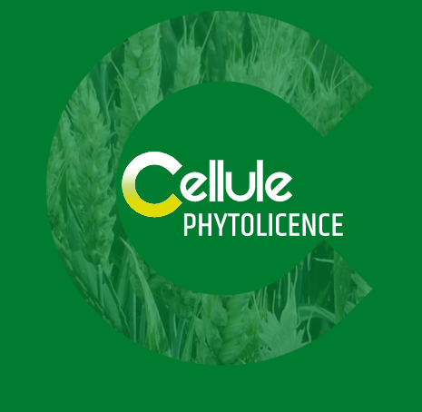 cellule phytolicence
