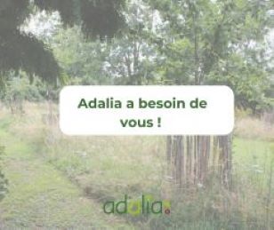 Adalia 2.0 a besoin de vous !