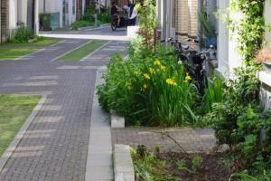 adaptation-aux-changements-climatiques-gestion-de-leau-et-vegetalisation.
