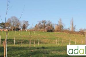 choix-et-la-plantation-d-arbres-fruitiers-et-de-haies-favorables-a-la-biodiversite-visite