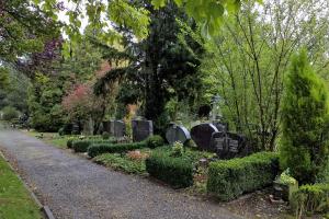 cimetière foret