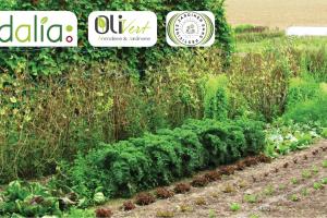 Conférence potager Oli'Vert Adalia 2.0