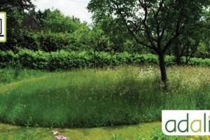 l-adaptation-du-jardin-face-aux-changements-climatiques-la-gestion-de-l-eau-visioconfere1