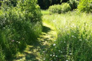 Pré de fauche et chemin tondu