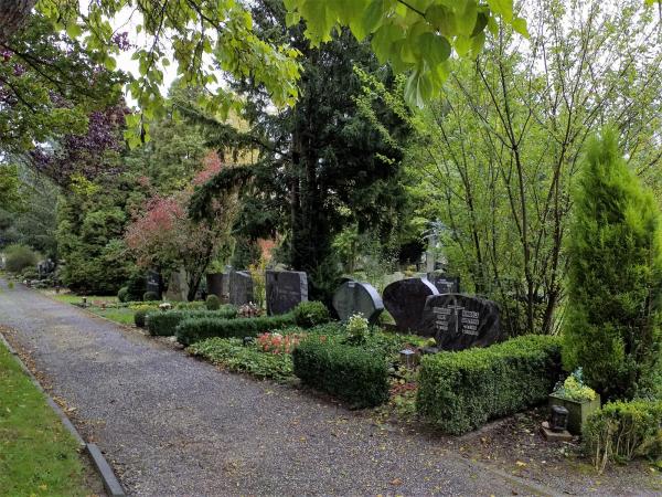 cimetière foret