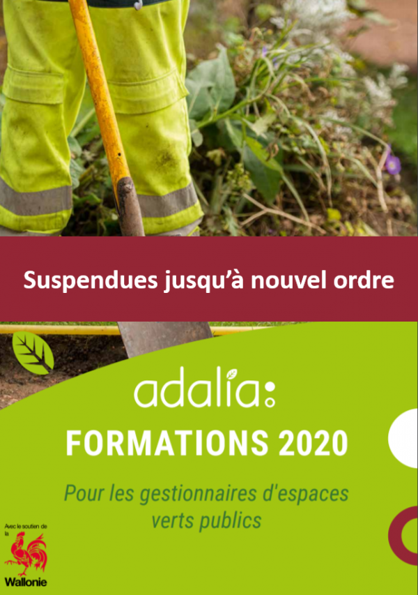 Formations suspendues