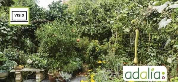 le-jardin-foret-du-fonctionnement-a-la-conception-visioconference1