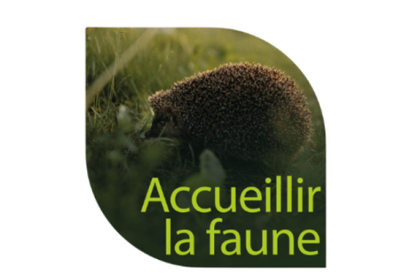 Pack Faune au jardin