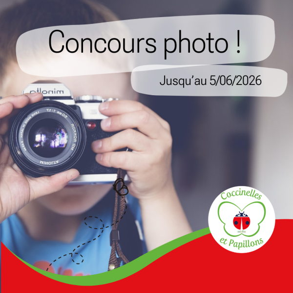 Concours Photo Coccinelles et Papillons