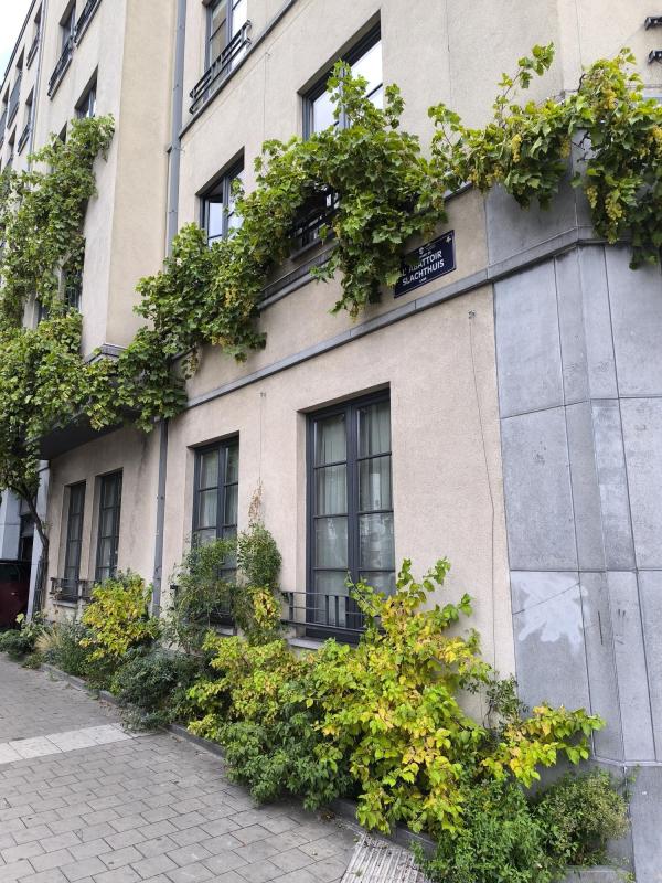 Végétalisation urbaine