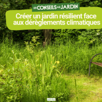 12 pratiques pour créer un jardin résilient face aux dérèglements climatiques.png