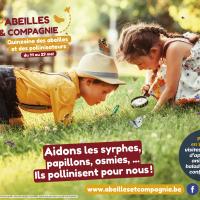 Affiche A2 Abeilles 