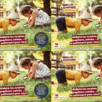 Flyers abeilles