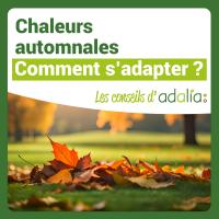 Chaleurs Automnale_visuelRS