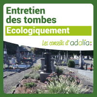Entretien-des-tombe-VisuelRS