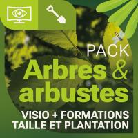 Visuel Pack arbres et arbustes