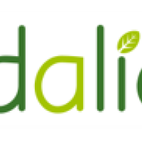 Logo adalia 