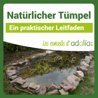 FB_Naturliche-tumpel_de