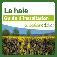 Haie-guide-installation