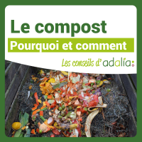 Le-compost-pourquoi-et-comment