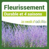 Fleurissement-durable-4-saisons