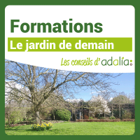 Visuel_RS-formations-le-jDD
