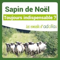 Sapin-de-noel