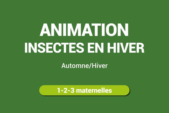 animation insectes en hiver