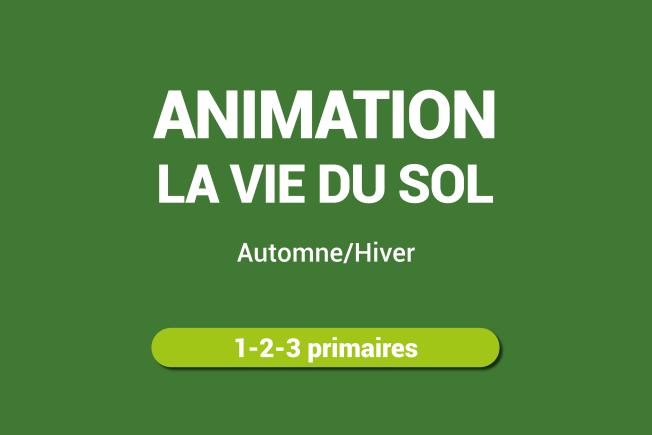 Animation vie du sol