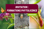 phytolicence