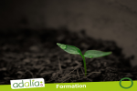 sol formation