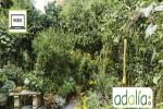 le-jardin-foret-du-fonctionnement-a-la-conception-visioconference1